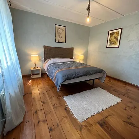 Casa Gecko *